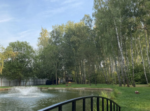 Частный Дом Уютный Домик в Лесу у Пруда