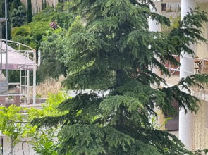 Гостевой дом 1000 Звёзд #2