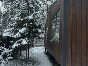 Частный дом у озера с террасой Сосновый дом