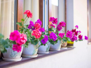 Гостевой дом Сапфир