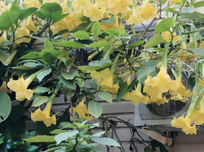 Гостевой дом Морская сказка