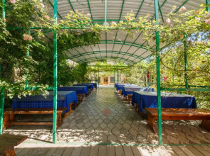 Отель Южная Ночь