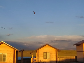 База Отдыха Ташту Кёль