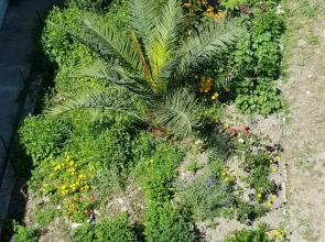 Na Giatsintovoj Guest House