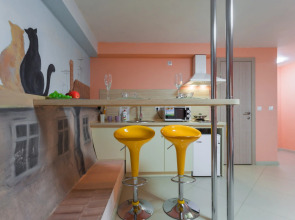 Апартаменты на Гаванской (3)