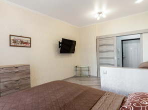 Апартаменты на улице Мира 44лит6 (15)