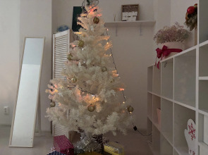 Апартаменты бизнес-класса  рядом ледовый дворец