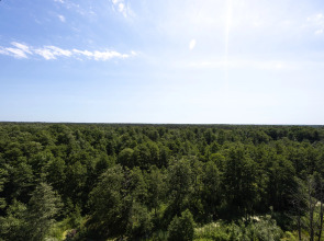 Апартаменты Созвездие