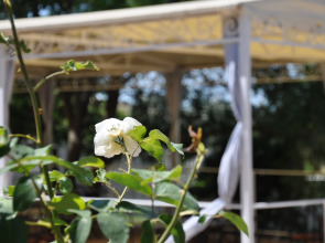 База Отдыха Волна