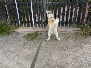 Гостевой дом Гармония