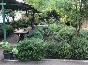 Гостевой дом Патио