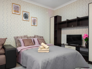 Апартаменты в 5 минутах ходьбы от санатория Русь