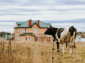 База отдыха Агротуристический комплекс Эль Ранчо