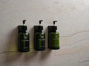 Mounthree Resort Hotel