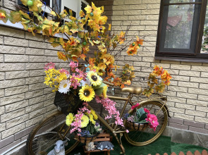 Апартаменты Березка 4