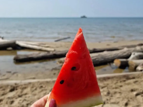 Апартаменты Лесная Свежесть