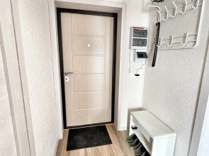 Квартира Елена Озерки