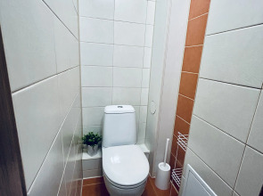 Квартира Уютная просторная однушка (55кв.) с АЛИСОЙ