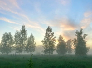 База отдыха Экопарк Бобровый Мыс