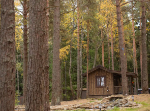 База отдыха Янтарный берег