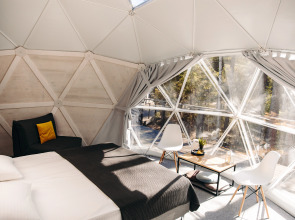 Шале Елки на горке 1