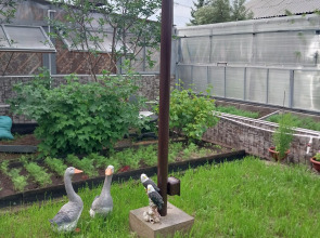 Отель Байкальская Жемчужинка