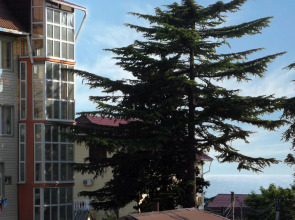 Гостевой Дом Свирский