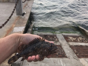 Яхт-клуб Кайрос