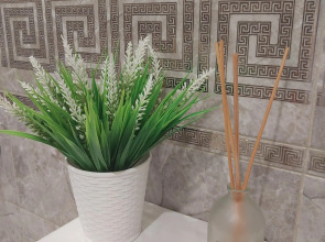 Квартира VgostiVpeterhof