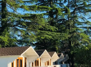 Отель Цитрус 1