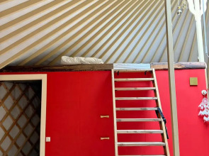 Частный дом Юрта среди сосен