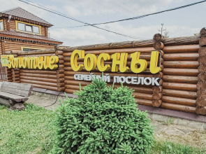 Частный дом шикарный в КП Золотые Сосны