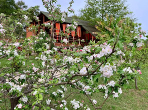 Гостевой дом МАНДАРИН