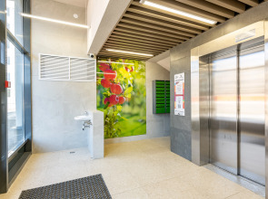 Квартира Classic Studio в Янино