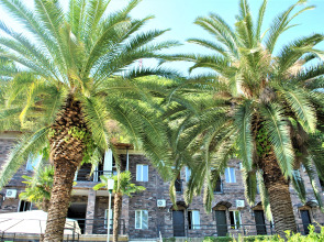 U monastyrja (Novyj Afon)