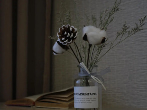 Квартира Квартирник у Зайцев