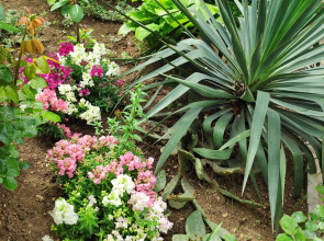 Гостевой Дом У Чижика