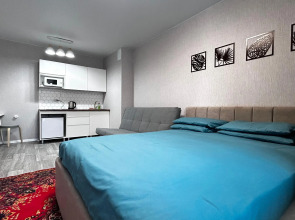 Апартаменты Cтудия