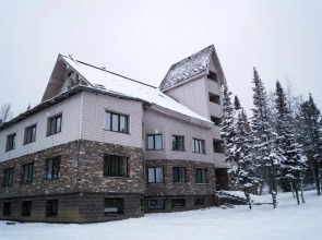 Отель Гринберг