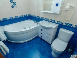 Отель Виноград