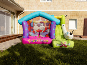 Гостевой дом Коттедж мечты