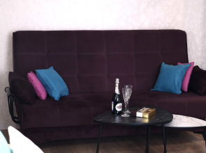 Апартаменты рядом с Ареной Металлург