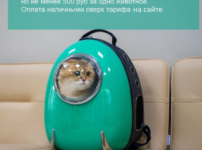 Апартаменты 1 Суточно Ростов на Черепахина