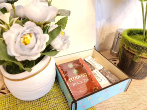 Апартаменты Runway Apartments