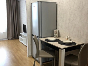 Апартаменты Leventsovsky