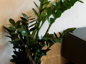 Апартаменты Hello рядом с Замком