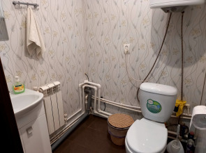 Дом у сосен