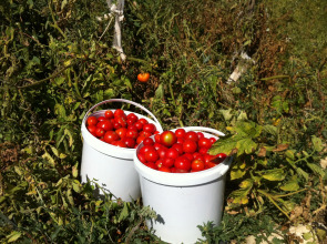 База Отдыха Эко Курорт Морское