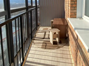 Апартаменты в Центре Города  на Высоком Этаже