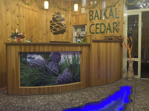 Baikal Cedar